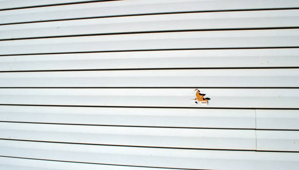 Best Shed Removal  in Goulding, FL